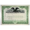 Image 1 : International Nitrogen Co., 1920 I/U Stock Certificate