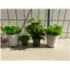 Image 1 : Artificial greens