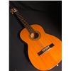 Image 1 : ACOUSTIC GUITAR WITH CASE