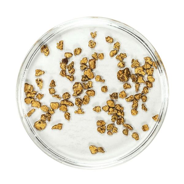 Lot of Gold Nuggets 2.44 Grams Total Weight