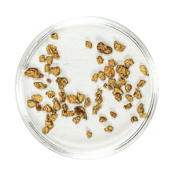 Lot of Gold Nuggets 2.14 Grams Total Weight