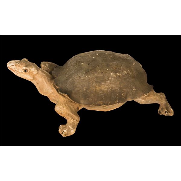 "TERRY" THE OCEANIC ARTS LUAU RENTAL DEPARTMENT TURTLE.