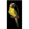 Image 1 : OA LUAU RENTAL DEPARTMENT GREEN HANGING PERCHED McCAW PARROT.
