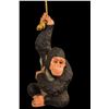 Image 1 : OA LUAU RENTAL DEPARTMENT HANGING CHIMPANZEE.