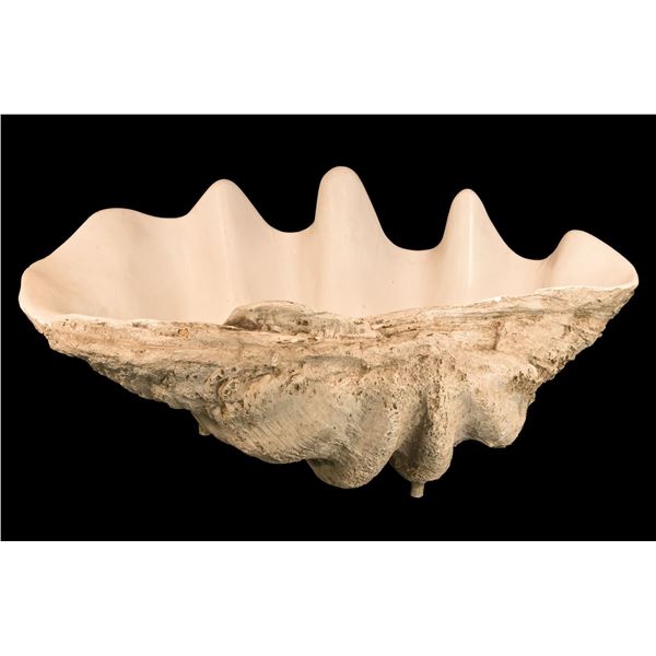 FIBERGLASS GIANT CLAM SHELL PUNCH BOWL.