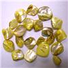Image 1 : 16-14 MM YELLOW MOTHER OF PEARL STRAND 15" 