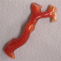 4.86 CTS FREE FORM NATURAL ITALIAN CORAL BRANCH 30x10 MM