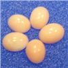 Image 1 : 5 CTS LO OF ITALIAN CORAL CABOCHON 8x6 MM