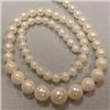 Image 1 : 8-4 MM GRADUATED AKOYA PEARL STRAND 16 INCHES