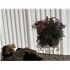Image 9 : PORCH ITEMS - COUNTER TOPS AND HANGING ITEMS - RACKS, AND GARDENING ITEMS PLEASE SEE IMAGES FOR MORE