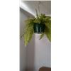 Image 2 : END TABLE AND SILK PLANT