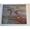 Image 2 : "HEAD 'N HOME" 2 DUCKS FLYING 1985/2500 PRINT; SIGNED & NUMBERED LIMITED EDITION.