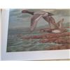 Image 3 : "HEAD 'N HOME" 2 DUCKS FLYING 1985/2500 PRINT; SIGNED & NUMBERED LIMITED EDITION.