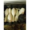 Image 1 : PLASTIC BOWLING SET - TWO BALLS, TEN PINS
