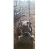 Image 2 : CRAFTSMAN SELF PROPELLED LAWN MOWER -POWER DRIVE -WORKING CONDITION