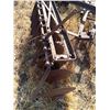 Image 2 : 10 DISC CULTIVATOR