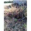 Image 1 : DISC PLOW COMBO - STEEL WHEELS