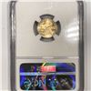Image 2 : 2015 $5 1/10oz American Gold Eagle NGC-MS70