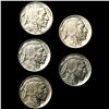 Image 1 : (5) Buffalo Nickels UNCIRCULATED