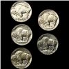 Image 2 : (5) Buffalo Nickels UNCIRCULATED