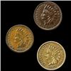 Image 1 : (3) Indian Head Cents