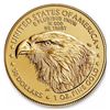 Image 2 : 2022 American Gold Eagle 1oz Liberty GEM BU