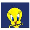Image 1 : Tweety Bird by Steve Kaufman (1960-2010)