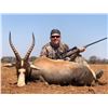 Image 8 : PHASA - Plains Game Hunt in the Limpopo province for 4 Hunters