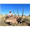Image 4 : PHASA - Northern Cape Oryx Hunt for 4 hunters.