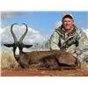 Image 7 : PHASA - Northern Cape Plains Game hunt for 3 Hunters