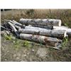 Image 1 : LOT OF BIRCH FIREWOOD LOGS