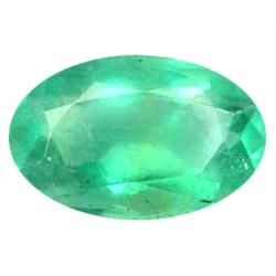 47.62ct Beautiful Huge Green Flourite Unheated (GEM-11643)
