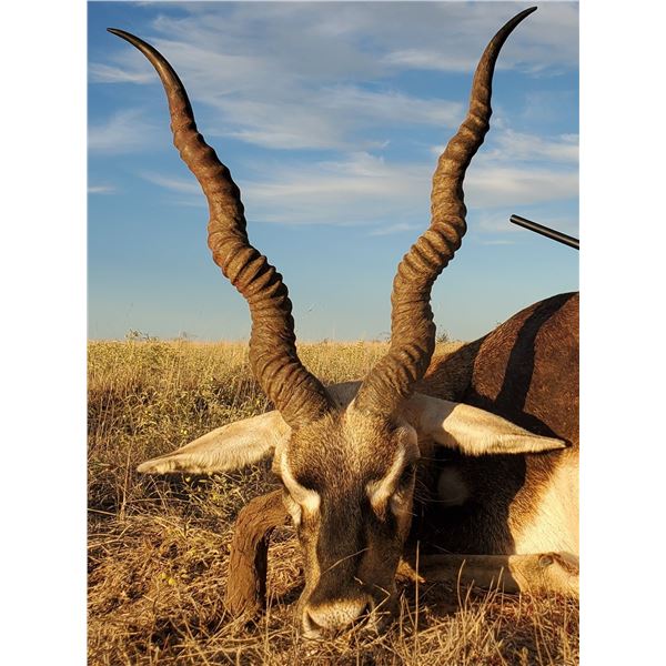 5 Day/ 6 Night Argentina Big Game Hunt