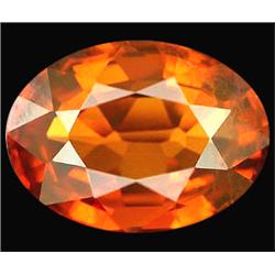 1.20ct Charming Natural Mandarin Spessartine Garnet VS (GEM-11109)