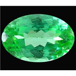 10.52ct Top quality 100% Natural Deep Green Kunzite Oval VVS (GEM-12179)
