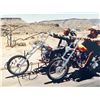 Image 1 : Easy Rider signed movie photo