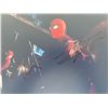 Image 1 : Spider-Man: No Way Home Tobey Maguire and Tom Holland signed movie photo