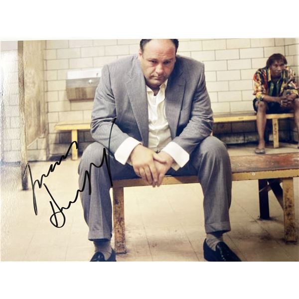 James Gandolfini signed photo