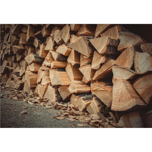 Split and Palletized Firewood