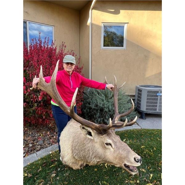 Elk Mount