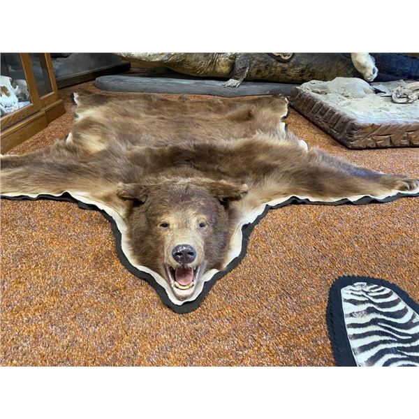Black Bear Rug