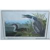 Image 1 : Beautiful large ornately framed and matted color  print of two Great Northern Divers (commonly known