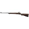 Image 2 : U.S. SPRINGFIELD MODEL 1922 M1 BOLT ACTION 22