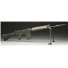 Image 1 : DC INDUSTRIES DCI-LAR-1 RIFLE WITH BIPOD