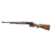 Image 2 : WINCHESTER 9410 TS TRADITIONAL PACKER LEVER ACTION