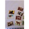 Image 2 : (10) Dog Cards and (3) Fish Cards from Kellogg's