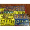 Image 3 : (15) Alberta License plates