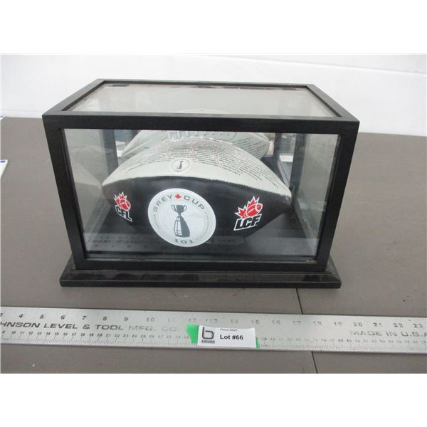 2013 Grey cup ball in display case