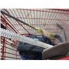 Image 4 : (2) Shopping carts - with tarp, exerciser, broom, misc