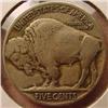 Image 2 : 1921 BUFFALO NICKEL - VF